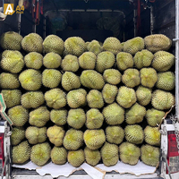 Diepvries Thaise Monthong Durianpulp Groothandel Export Premium 500g 14 dagen houdbaarheid