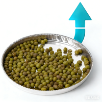 BKMAM Hydromètre biologique avec plateau de pesée en aluminium H1008 pour analyse d'échantillons en laboratoire Fabriqué en Chine