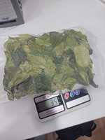 Feuilles de kaffir-lime fraîches de qualité supérieure, 100% naturelles, qualité alimentaire, vente en gros, OEM, marque privée, fournisseur Vietnamien, durée de conservation de 12 mois