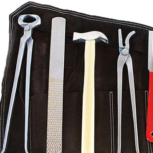 Kit de Herrador Profesional Reutilizable de Acero Inoxidable, Set Portátil para el Cuidado de Pezuñas de Caballos, Precio Económico al por Mayor - Product Image 5