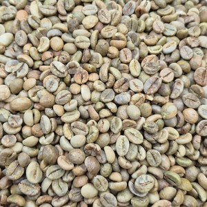 Top Quality A 60kg A Plus 95 To 99% Purity Robusta Size 16 Vietnam Green Coffee <b>Beans</b> 60kg in PP Bags High Quality From Viet Nam - Product Image 1