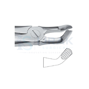 คีมถอนฟัน ฟันหน้าบน รากฟัน สแตนเลส เครื่องมือผ่าตัดแบบใช้มือ คลาส 1 - Product Image 2