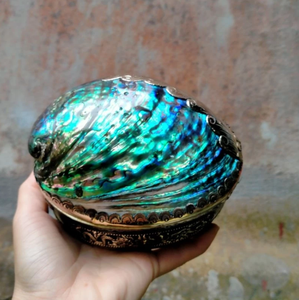 Abalone Shell Jewelry <b>Box</b> Natural Crafts Polished Seashell Organizer Mother of Pearl <b>Gift</b> Vietnam Wholesale Factory - Product Image 3