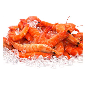 Camarones Congelados Estándar de Exportación para Mercados de Mariscos, Supermercados y Empresas de Distribución Mayorista a Nivel Mundial - Product Image 4