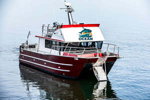 เรือคาตามารันอลูมิเนียม Kinocean รุ่นปี 2026 พร้อมห้องโดยสารสำหรับตกปลา ใช้มอเตอร์ติดท้ายเรือ สำหรับการพักผ่อนในทะเลน้ำเค็ม - Product Image 3