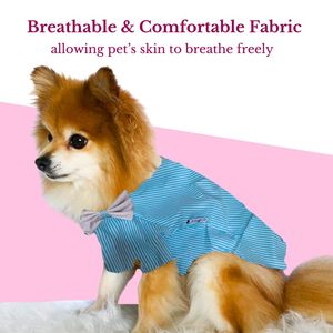 Vestido de Verano Impermeable de Lujo para Perro, Chaleco Refrigerante sin Mangas, Lindos Diseños a Rayas, Ropa de Algodón Personalizable para Perro - Product Image 5