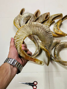 El Shofar Kosher artesanal más vendido, cuerno de carnero Natural pulido para soplar religioso, estilo de recuerdo náutico - Product Image 3