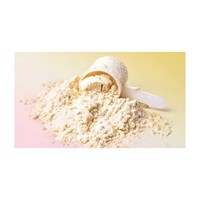 Protéine de lactosérum de qualité export, fournie en vrac avec expédition mondiale fiable