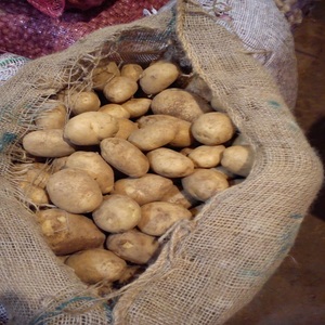 Pommes de terre fraîches biologiques de haute qualité provenant du Pakistan, fournisseur, peau jaune, vente, emballage personnalisé, prix raisonnable, service OEM - Product Image 1
