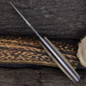 Cuchillos de Caza de Primera Calidad para Aventuras al Aire Libre, Campismo, Senderismo y Actividades de Supervivencia con Hoja de Acero Resistente y Cómoda Empuñadura - Product Image 6