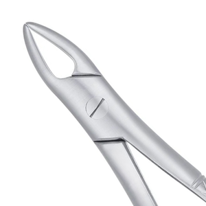 Pinzas de Extracción Dentales Quirúrgicas 76S con Dientes Serrados para Raíces Superiores, Instrumento de Cirugía Oral de Acero Inoxidable - Product Image 4