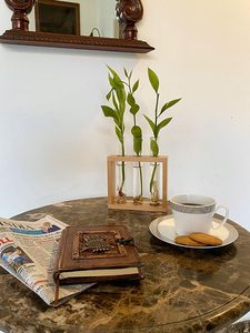 Modern Wooden Frame Glass Flower <b>Vase</b> Set with Hydroponic Feature <b>Clear</b> Cylinder Bud <b>Vase</b> Holder for Home Wedding Decor - Product Image 1