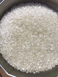 ข้าวญี่ปุ่นเมล็ดสั้น นิวครอป เทียนเจียง ขายส่งเพื่อการส่งออกและตลาดบริการอาหาร รสชาติธรรมชาติ คุณภาพพรีเมียม - Product Image 4