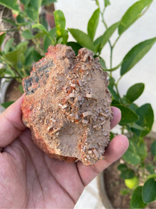 Grappe de cristaux de vanadinite naturelle |   Spécimen minéral rouge sur matrice |   Pierre de présentation pour collectionneur |   3,5 pouces - Product Image 6
