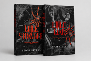 Little Lliar, Little Stranger par Leigh Rivers, lot de 2 livres brochés (Approvisionnement en gros) - Product Image 1