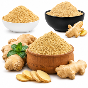 AQUA VRIKSHA Poudre de gingembre premium |   Poudre de gingembre séchée 100% naturelle |   Fournisseur d'épices de qualité export - Product Image 4