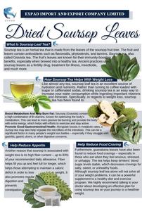 Dried Soursop Leaves (Graviola) – Bulk, OEM & Herbal <b>Tea</b> Supplier Vietnam - Product Image 6