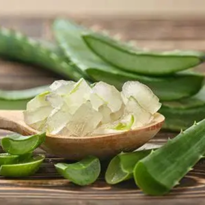 ALOE VERA CONGELÉE CERTIFIÉE HALAL, EN DÉTRESSES, POUR L'INDUSTRIE AGROALIMENTAIRE - Product Image 3