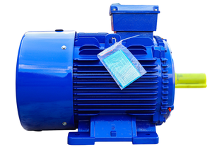 Motor de CA trifásico de hierro fundido premium de 380V-50Hz-60Hz de alta precisión, 12 meses de garantía, TP-1FVN 20 kW Toan Phat - Product Image 2