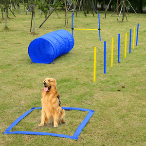 Attrezzatura per l'addestramento all'agility canina per un allenamento efficace dei cani - Product Image 1