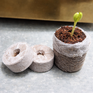 Pellets de fibra de coco, pellets de coco coir, pellets de turba de coco, pellets de coir, sustrato de coco, sustrato comprimido / Sra. Alina - Product Image 6