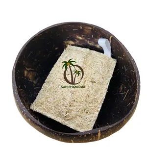 Body Natural Loofah Bath Sponge Loofah Sponge at Best Price in Vietnam/ Loofah Sponge Wholesale/ Organic Loofah Sponge