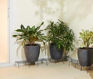 Juego de 4 Soportes Metálicos para Plantas de Calidad para Exportación, Soporte Decorativo para Macetas de Interior y Exterior, Suministro al por Mayor - Product Image 3