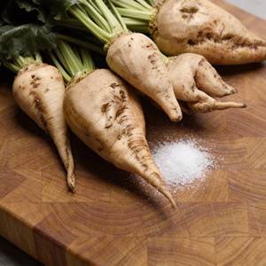 Azúcar de Remolacha Orgánica de Alta Calidad, Edulcorante Natural Granulado Fino para Uso en Alimentos y Bebidas, Precios con Descuento - Product Image 1