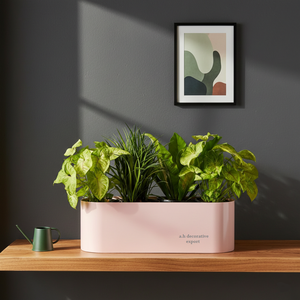 Jardinière rectangulaire longue en métal rose mat, moderne et écologique, pour décoration intérieure et extérieure, bac à fenêtre, plantes succulentes, herbes, pots de fleurs - Product Image 2