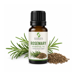 Huile de romarin polyvalente pour les applications professionnelles en cosmétiques, soins capillaires, soins personnels, parfumerie et formulation de produits de beauté - Product Image 4