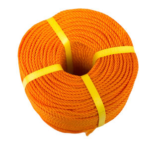 NTR Poliéster PP CUERDA Nylon 4 20mm Cubierta PPT Color Característica Material Origen Core TyPP Alto modelo duradero Portugal para exportación - Product Image 6