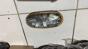 Indonesian's Best Seller Eco-Friendly Anti-Slip Modern Luxury Wood Soap Dish <b>Abalone</b> <b>Shell</b> Inlay Durable Design Electricity-Free - Product Image 6