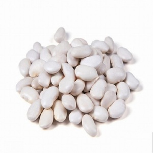 Large Quantity White Kidney Beans Ready for Immediate Shipping! for Bulk Buyers Retail <b>Packers</b> Food Service Providers - Product Image 2
