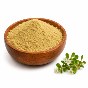 Extrait de feuille de séné en poudre, qualité alimentaire, 20% de bacosides, fabricant |   Emballage en fûts en vrac, fournisseur OEM/PL en gros - Product Image 1