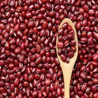 Nouvelle Récolte de Haricots Rouges Foncés Sans OGM, Produits Agricoles en Vente, Stockage Congelé