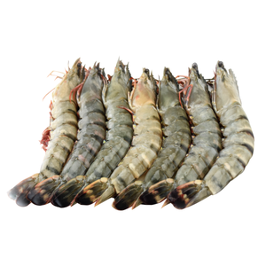 Camarones Tigre Negros Congelados de Alta Calidad, Sin Cabeza, Proceso BQF, Sin Piel, Conservados en Agua, Empaquetados en Bolsas a Granel - Product Image 5