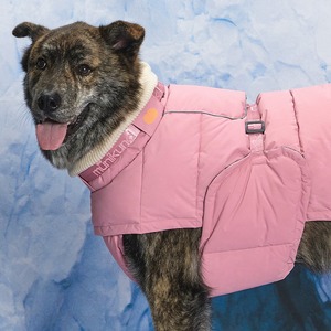 [MUNIKUND] Thermal Up Padding Air 2 Dog Winter Coat Padded Vegan Down Jacket Warm Pet Outerwear for Walking - Product Image 2