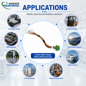 Harnais de connecteurs étanches personnalisés, assemblage de câbles d'alimentation de batterie, OEM ODM - Product Image 2