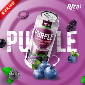 Jus composé violet purée 490ml en conserve, boisson liquide aux mûres, myrtilles, baies de goji et carottes, marque Rita - Product Image 2