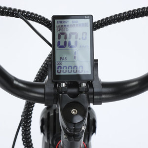 Neumáticos todoterreno 20*4, batería de litio de 48V 15AH, motor sin escobillas, doble suspensión. Bicicleta eléctrica deportiva urbana todoterreno. - Product Image 4