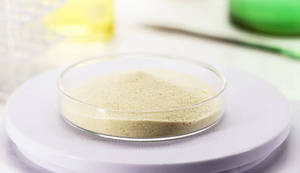 Poudre de protéines végétales isolée de levure 100 % pure de haute qualité, haute pureté, durée de conservation de 24 mois, ingrédient essentiel pour la santé et le bien-être mondial - Product Image 2