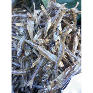 Anchois séchés à haute teneur en protéines Aliments secs pour la consommation humaine et les aliments pour animaux de compagnie - Product Image 3