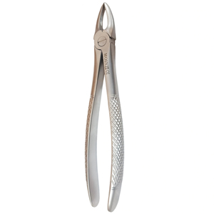 Pinzas de Molares Superiores Rectas, Tipo Figura 29, de Acero Inoxidable, para Extracción Dental, Instrumento Quirúrgico - Product Image 2