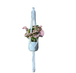 Plant Hanger Customized Macrame Plant Hanger for <b>Wall</b> and Window Decoration - Product Image 1