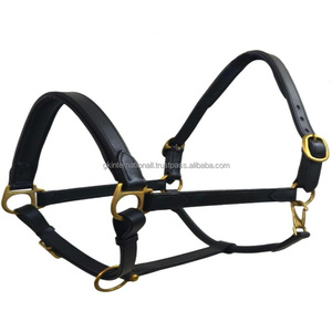 Equipo Ecuestre de Cuero Personalizado, Duradero, Cosido y Acolchado, Cabestro para Carreras de Caballos con Herrajes de Latón Resistentes - Product Image 1