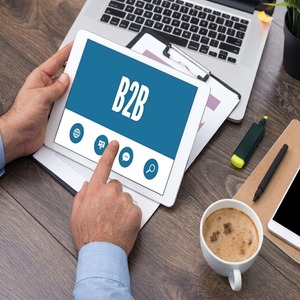 Plataforma de Comercio Electrónico B2B y B2C Avanzada, Servicios POC en USD, Construcción Rápida de Plataformas de Tiendas Multicanal Personalizadas - Product Image 3