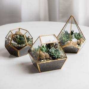 Mini terrarium géométrique en verre, ensemble de terrariums dorés, pot de fleurs en verre, vase, bol, boîte de présentation, décoration - Vente en gros - Product Image 3