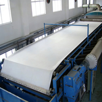 Filtre à bande horizontal pour la séparation solide-liquide et le traitement de l'eau, pour la concentration des résidus miniers de cuivre