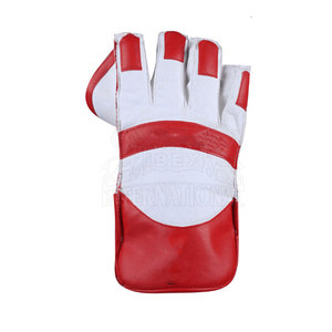 Gants de gardien de but de qualité supérieure, gants de cricket professionnels, paume souple, adhérence forte, design respirant, confortables - Product Image 3