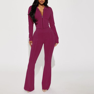 New Best Seller Women's Solid Purple Knitted Long Sleeve Flared Pants Set Full Length Skinny Fit 2Piece Hooded <b>Top</b> & Pants Sets - Product Image 1